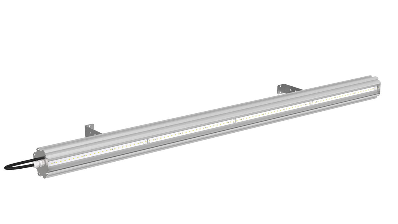 SVT-P-Fort-1200-50W